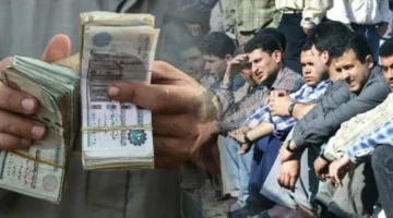 رابط الاستعلام عن استحقاق معاش تكافل وكرامة لعام 2026 بالرقم القومي